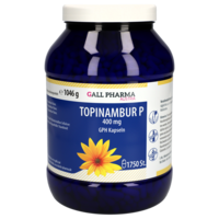 TOPINAMBUR P 400 mg GPH Kapseln