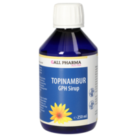 TOPINAMBUR SIRUP