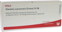 GLANDULA SUPRARENALIS cortex GL D 8 Ampullen