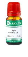 APIS MELLIFICA LM 20 Dilution