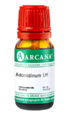 ADONIDINUM LM 7 Dilution