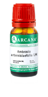 AMBROSIA ARTEMISIAEFOLIA LM 60 Dilution