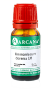 AMMONIACUM dorema LM 10 Dilution