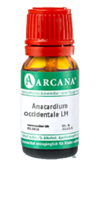 ANACARDIUM OCCIDENTALE LM 15 Dilution