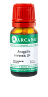 ANAGALLIS ARVENSIS LM 12 Dilution