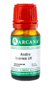 ANDIRA inermis LM 8 Dilution