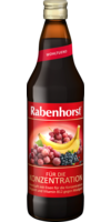 RABENHORST für die Konzentration Saft