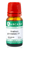 ANETHUM graveolens LM 14 Dilution